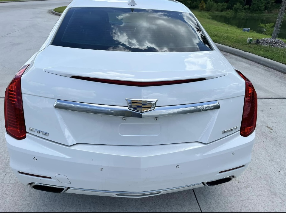 Rear view
